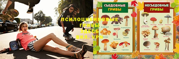 гашик Бугульма