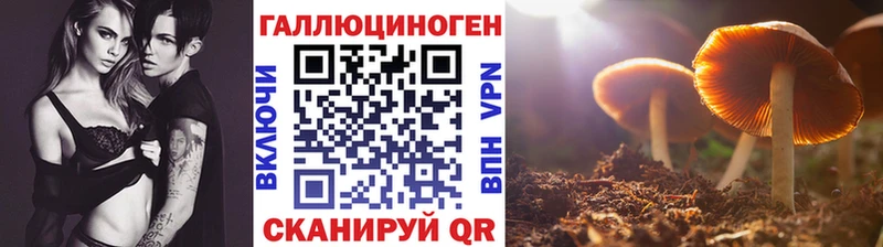 mega как войти  Кохма  Галлюциногенные грибы мицелий 