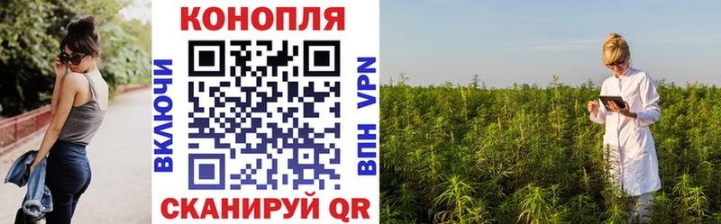 Канабис White Widow  Кохма 